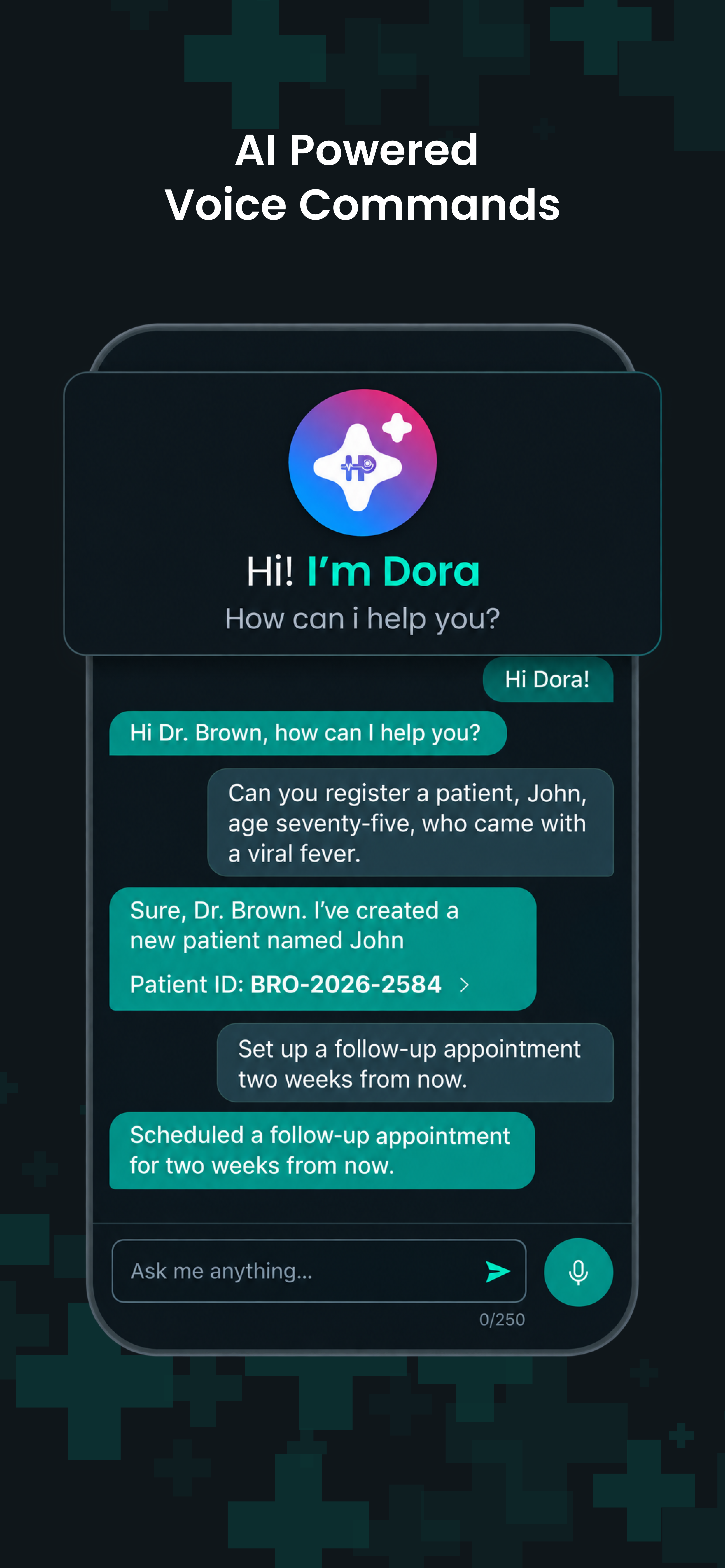 Provider app — AI powered voice commands
