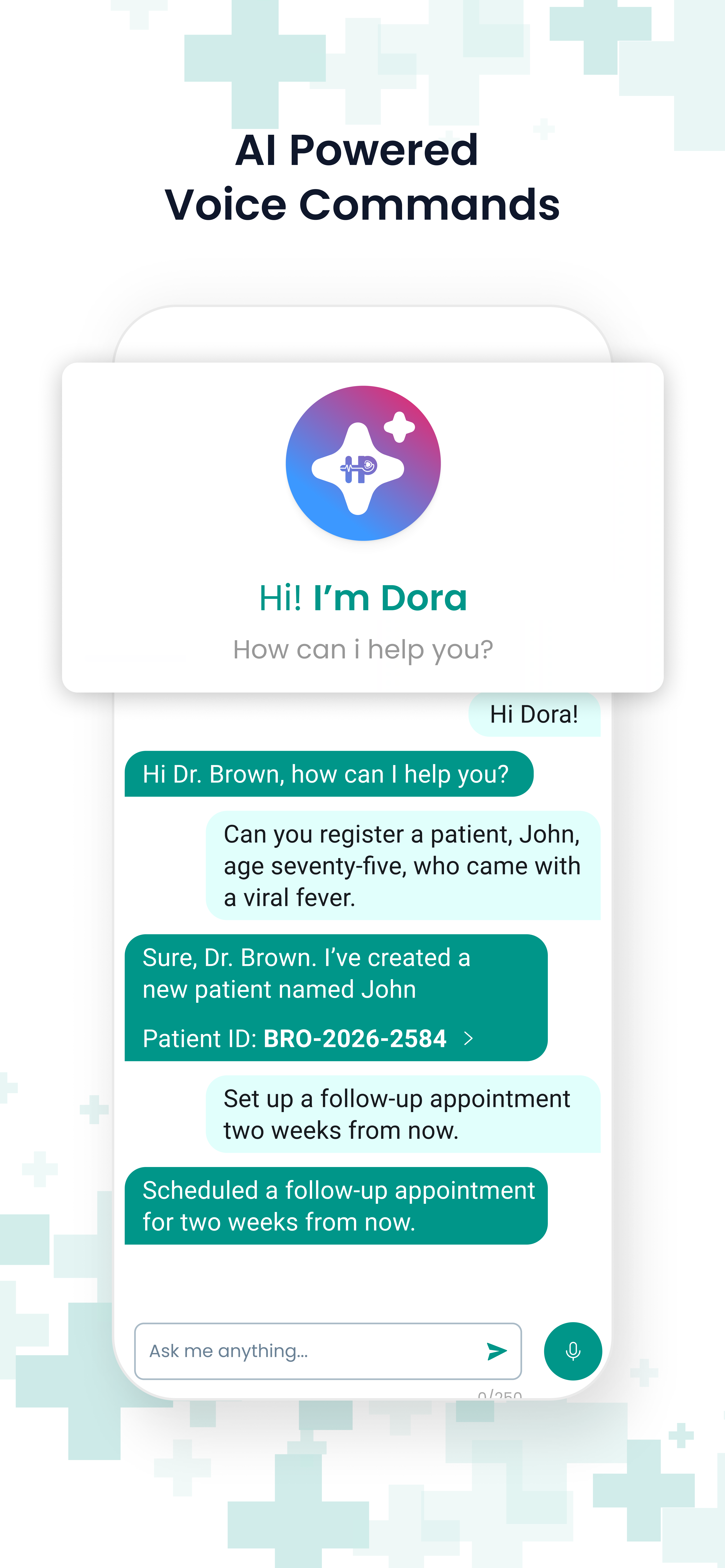 Provider app — AI powered voice commands